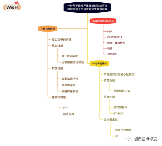 新型可注射的自愈水凝胶，具有生物降解性和生物安全性，减少局部和全身的炎症和感染，并防止多器官衰竭
