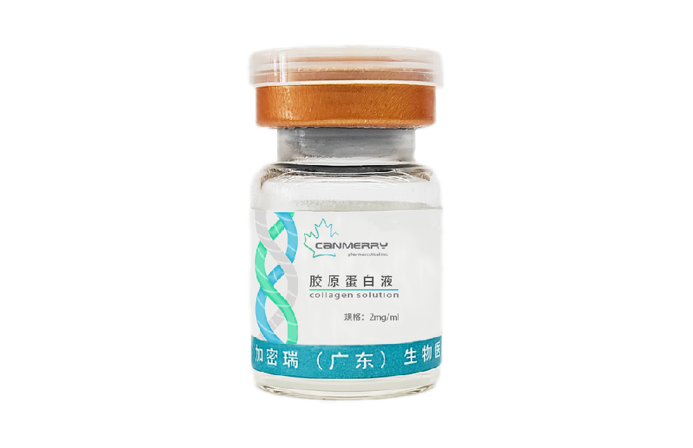 胶原蛋白液【5ml(2mg/ml)】