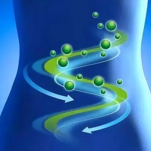 Positive PAMAM improves obesity-related chronic inflammation and focal obesity, in collaboration with Kam W. Leong, Columbia University