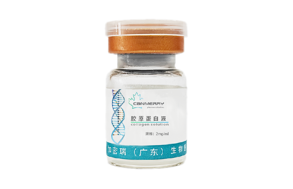 2mg/ml collagen solution
