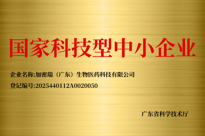 国家科技型中小企业