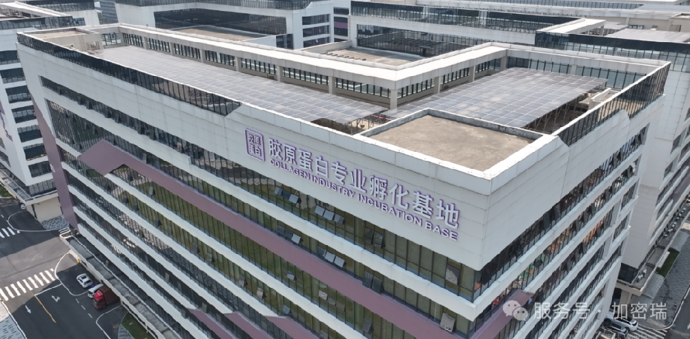 喜讯|我司入选“2025年第二批高新技术企业”