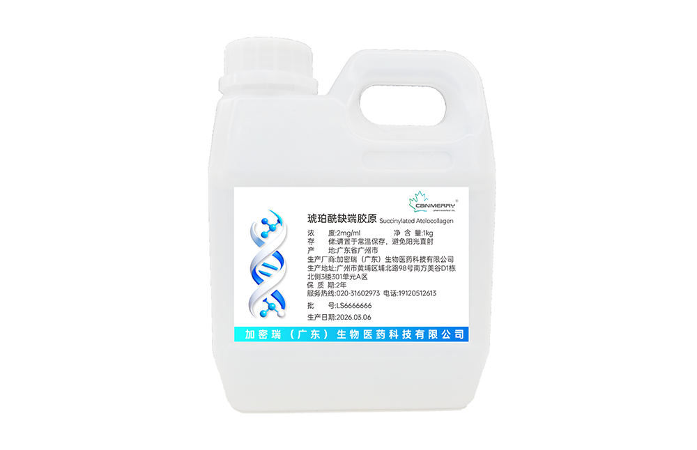 琥珀酰缺端胶原